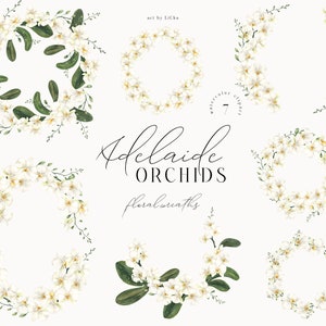 Clipart de orquídea aquarela Guirlandas brancas Adelaide Orquídeas Png Moldura floral imprimível Download digital Flores modernas Tropical Casamento Clip Art