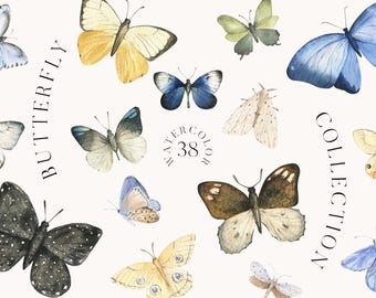 Watercolor Butterfly insect baby shower spring  DIY elements for romantic wedding invitation greeting card clipart png