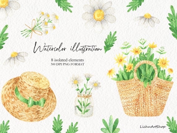 Acuarela margaritas flor silvestre Cesta de flores Hojas - Etsy España Acuarela margaritas flor silvestre Cesta de flores Hojas - Etsy España