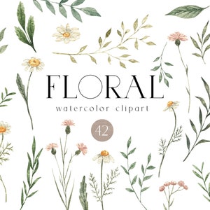 Clipart di fiori selvatici Acquerello margherita fiore selvatico png Boho floreale Foglie verdi ramo per logo Invito di nozze Decorazione per bambini clipart