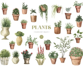 Watercolor Houseplants Greenery Gardening Home Plants Snake Plant Monstera Cactus Clip Art Garden boho clipart png