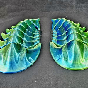 Trilobite grande articulado en 3D