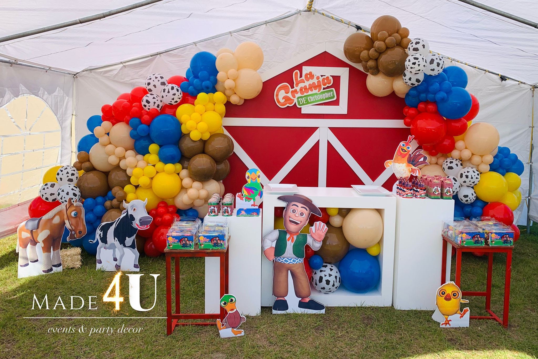 Decoraciones de la granja de zenon para fiestas infantiles - Santo Domingo
