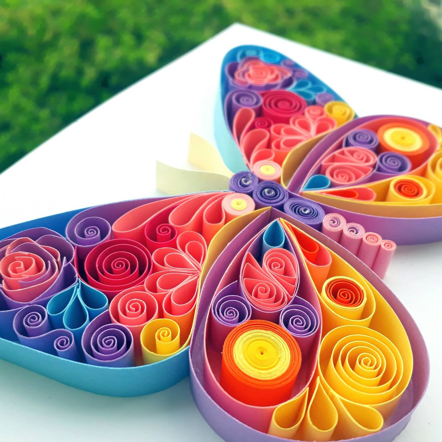 Butterfly framed paper quilling art Etsy