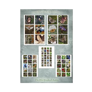 Sofort Download, Woodland Charms, Decoupage, Fliesen, Dekor Verzierungen, Scrap Booking, Kartenherstellung, College Sheets, Eulen, Schmetterling,