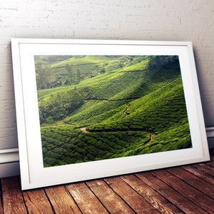 Munnar tea plantations, Kerala, India Art Print, Travel Photo, Landscape Art Print, India Travel Photo, Digital Wall Art, landscape