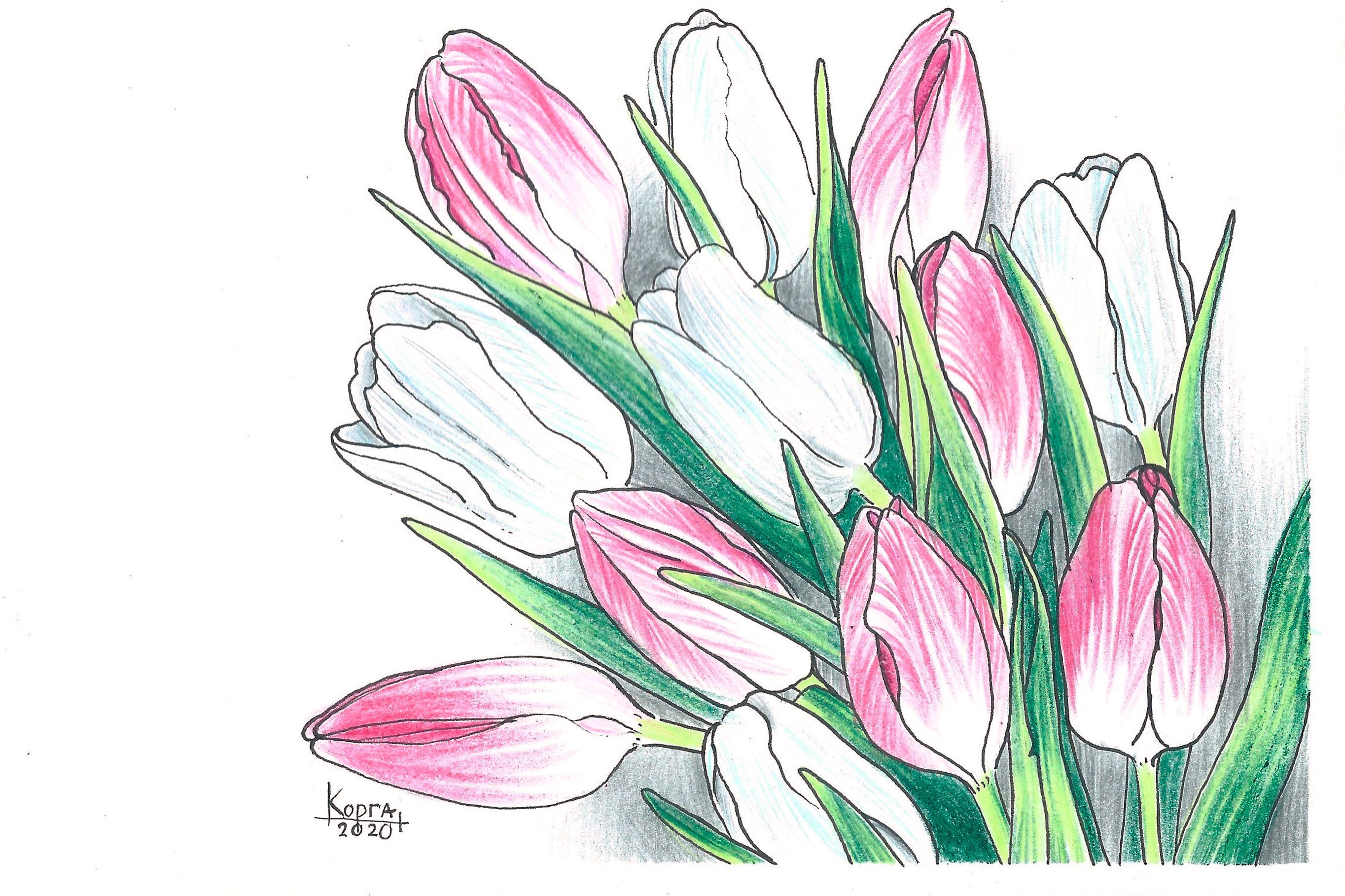 Original Zeichnung Tulpen Bouquet von Tulpen Frühling Blumen | Etsy