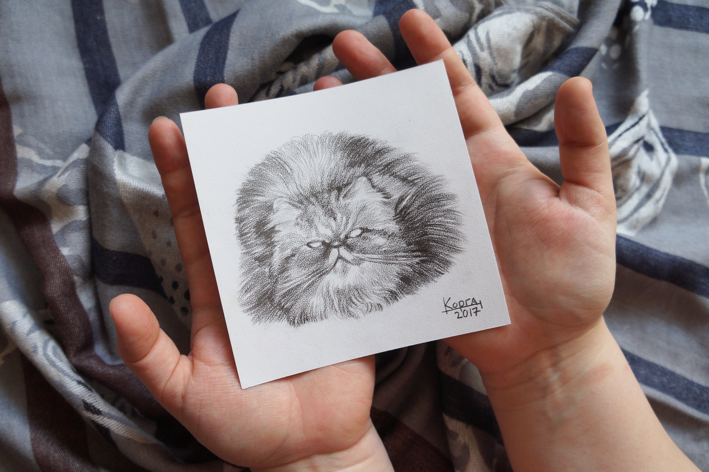 Original Zeichnung Katze Schwer Katze Autor Illustration | Etsy