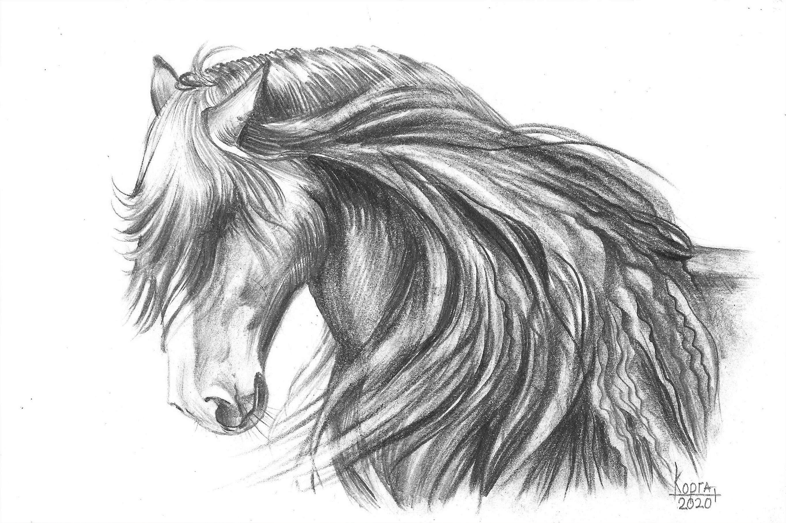 Original Drawing Horse Power Pencil Graphics Author s Etsy
