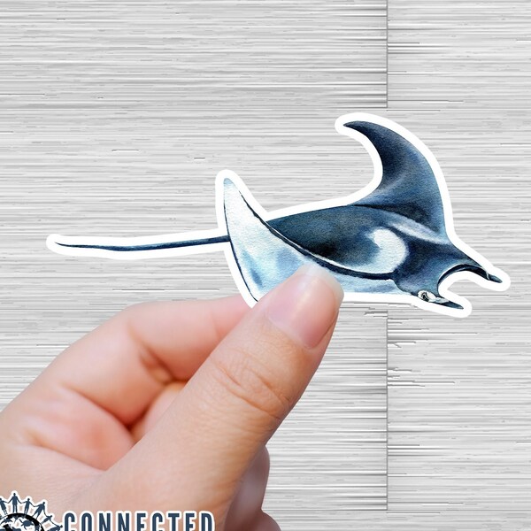 Manta Ray Sticker | Ocean Conservation Decal | Save The Ocean | Marine Biology Gift | Animal Wildlife Sticker | Water Bottle Sticker