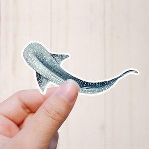 Whale Shark Watercolor Sticker | Shark Conservation Decal | Save The Ocean | Shark Lover Gift | Animal Activist Sticker | Shark Finning