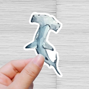 Hammerhead Shark Watercolor Sticker | Shark Conservation Decal | Save The Ocean | Shark Lover Gift | Animal Activist Shark Sticker