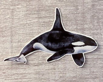 Orca Sticker | Ocean Wildlife Conservation Decal | Marine Biology Gift | Water Bottle Sticker | Save The Orcas | Killer Whale Laptop Sticker