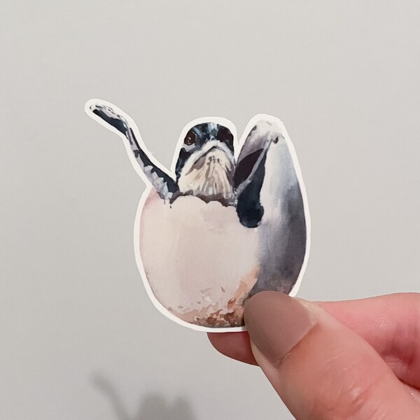 Turtle Water Bottle Etsy