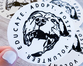 Adoptez Éduquez Favorisez l'autocollant | Adoptez un cadeau d'autocollants Don't Shop | Adoptez un animal de compagnie | Sticker bouteille d'eau | Sticker pour refuge pour animaux