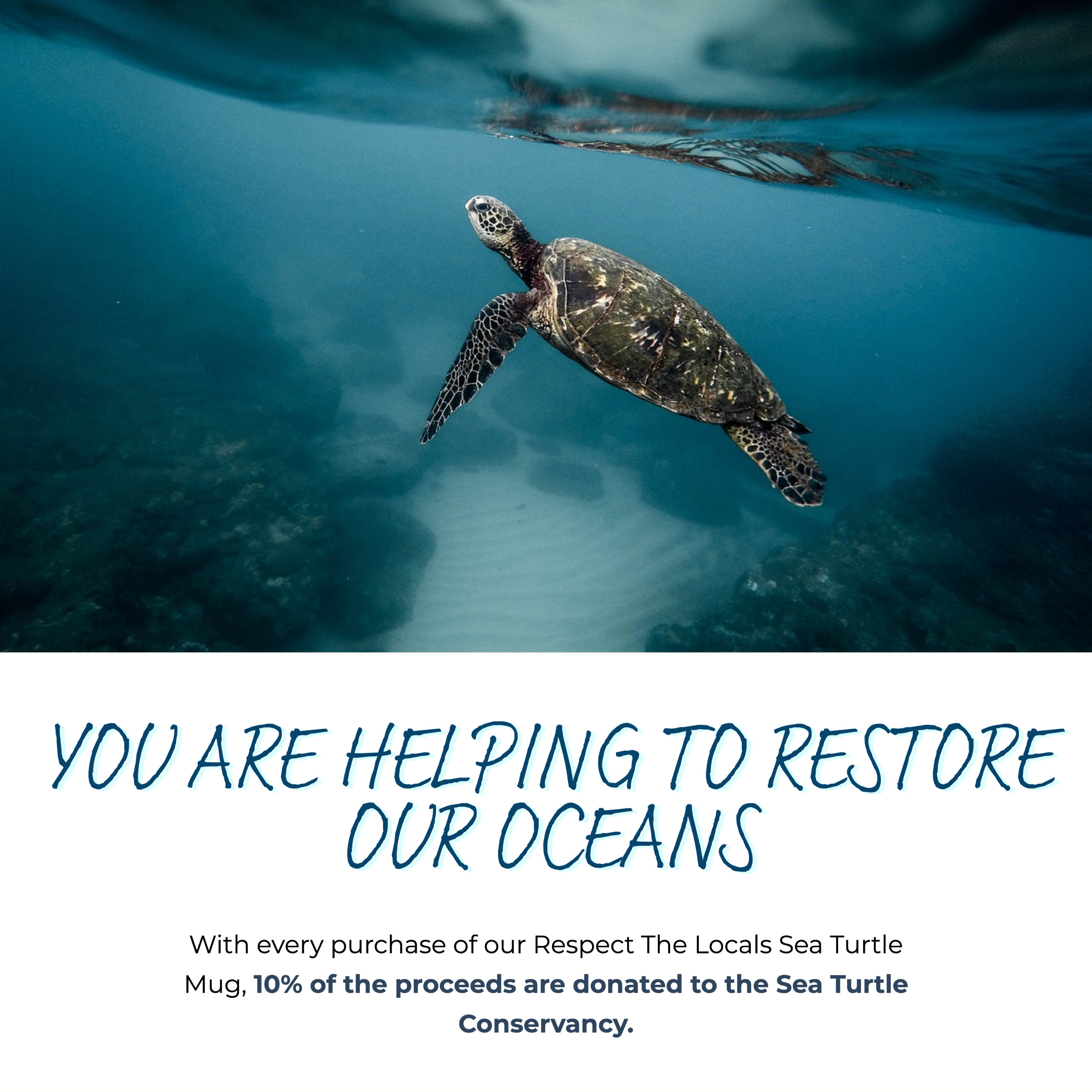 Respect the Locals Sea Turtle Mug Conservation Turtle Coffee - Etsy