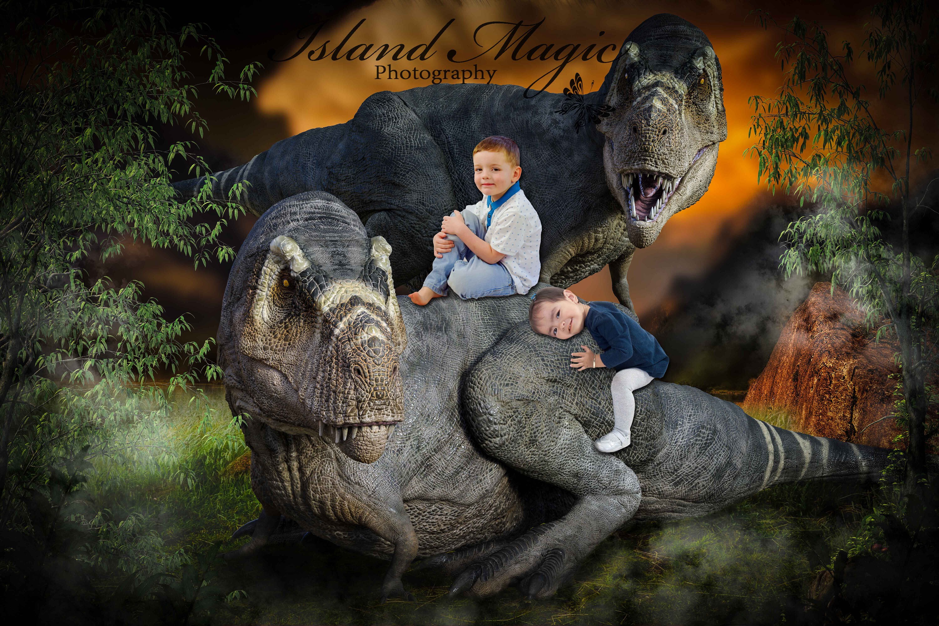 Dinosaur Digital Backdrop / Background Etsy