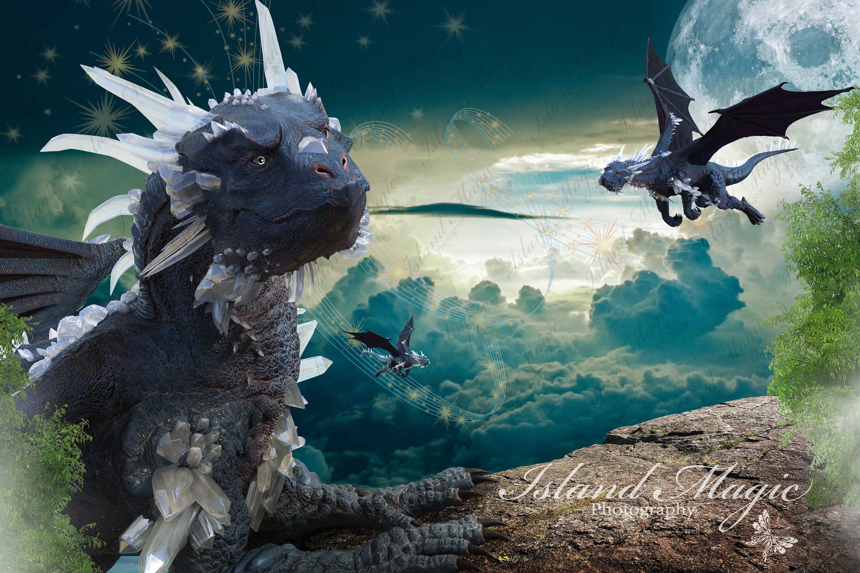 3 X Dragon Digital Background Digital Backdrop Etsy