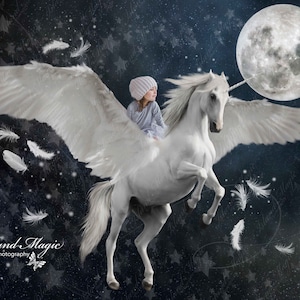 Unicorn Pegasus Digital Background Digital Backdrop