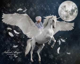 Unicorn Pegasus Digital Background Digital Backdrop
