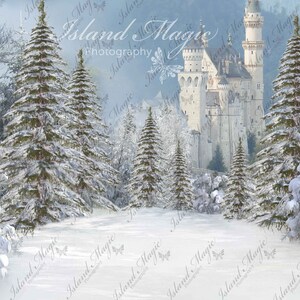 2 Winter Forest Digital Backgrounds -with and without castle