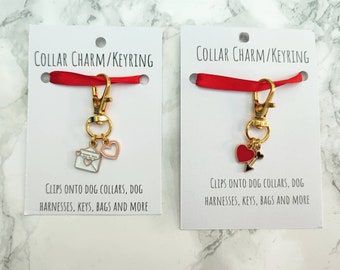 Valentine's Pet Collar Charm: Heartbreaker or Love Letter