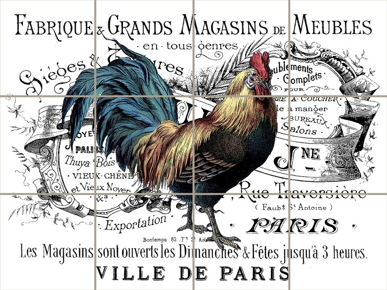 1904 Paris Rooster 12x18 18x24 24x30 Country Kitchen Mural Etsy