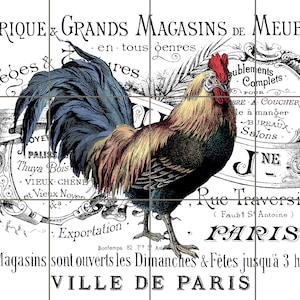 1904  Paris Rooster -12x18 18x24 24x30 30x36 -6x6 tile Country Kitchen Rooster Mural tile mural, decorative tile, backsplash Farmhouse decor