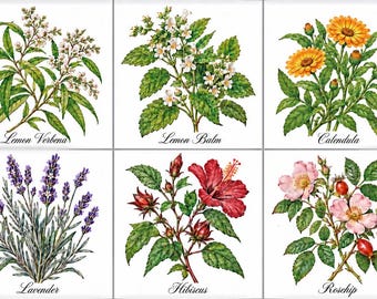 Botanical Herb Set 4 - Tea Herb Ceramic Tile Set, Botanical Kitchen Backsplash, Cottage Decor, kitchen decor decorative accent tile, vintage