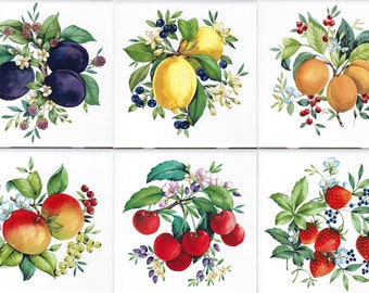 1930 - Vibrant Fruit 6pc set on Gloss or Matte 6" or 4.25" White or Biscuit Color tile - Fruit tile - Decorative accent tile Kitchen tile