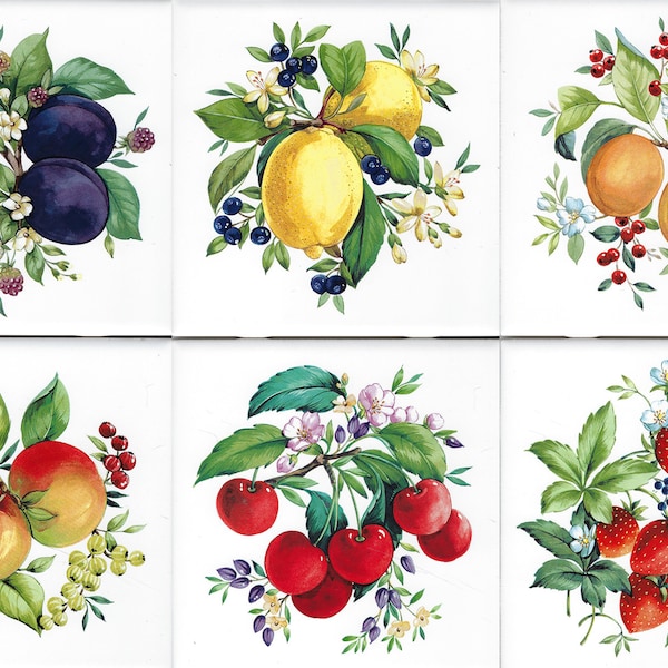 1930 - Vibrant Fruit 6pc set on Gloss or Matte 6" or 4.25" White or Biscuit Color tile - Fruit tile - Decorative accent tile Kitchen tile