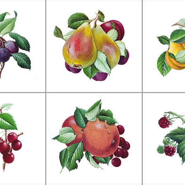 1926 - Fruit tile 6pc mix set on a Gloss or Matte 6" 4.25" White or Biscuit Color tile - Fruit tile - Decorative accent tile Kitchen tile