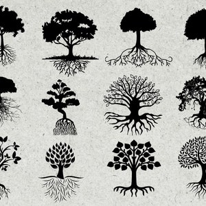 Tree with roots svg bundle, tree roots svg,  silhouette, clipart cut files for cricut & cutting machine png eps