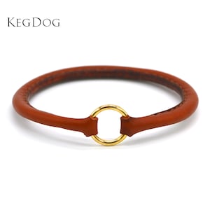 Brown Rolled Leather House Collar - Thin Tag Collar - ID Dog Collar