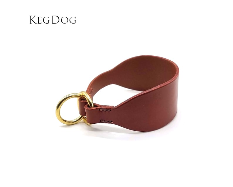 May include: A brown leather dog collar with a gold metal ring. The collar is a half-choke style, meaning it tightens when pulled.