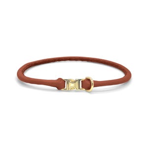 May include: A rust-colored, rounded leather collar featuring a polished gold-tone metal side-release buckle and a matching gold-tone D-ring attachment. The collar has a smooth, consistent texture and a circular shape, showcasing a minimalist design.