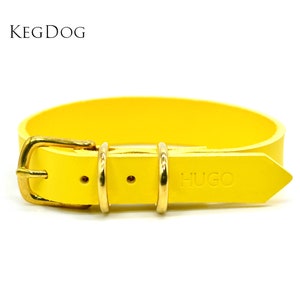 Yellow Leather Dog Collar with Buckle - Made to Order & Personalisable