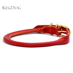 May include: Red leather dog collar with gold hardware. KEGDOG is printed on the collar.