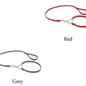 Set Italiaanse leren martingaalhalsband en riem voor showhonden afbeelding 7