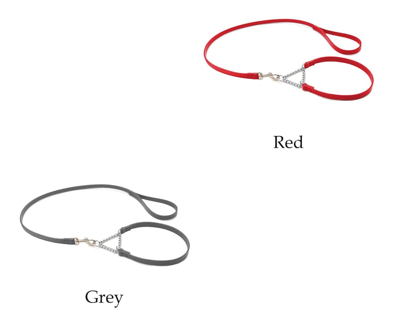 Set Italiaanse leren martingaalhalsband en riem voor showhonden afbeelding 7