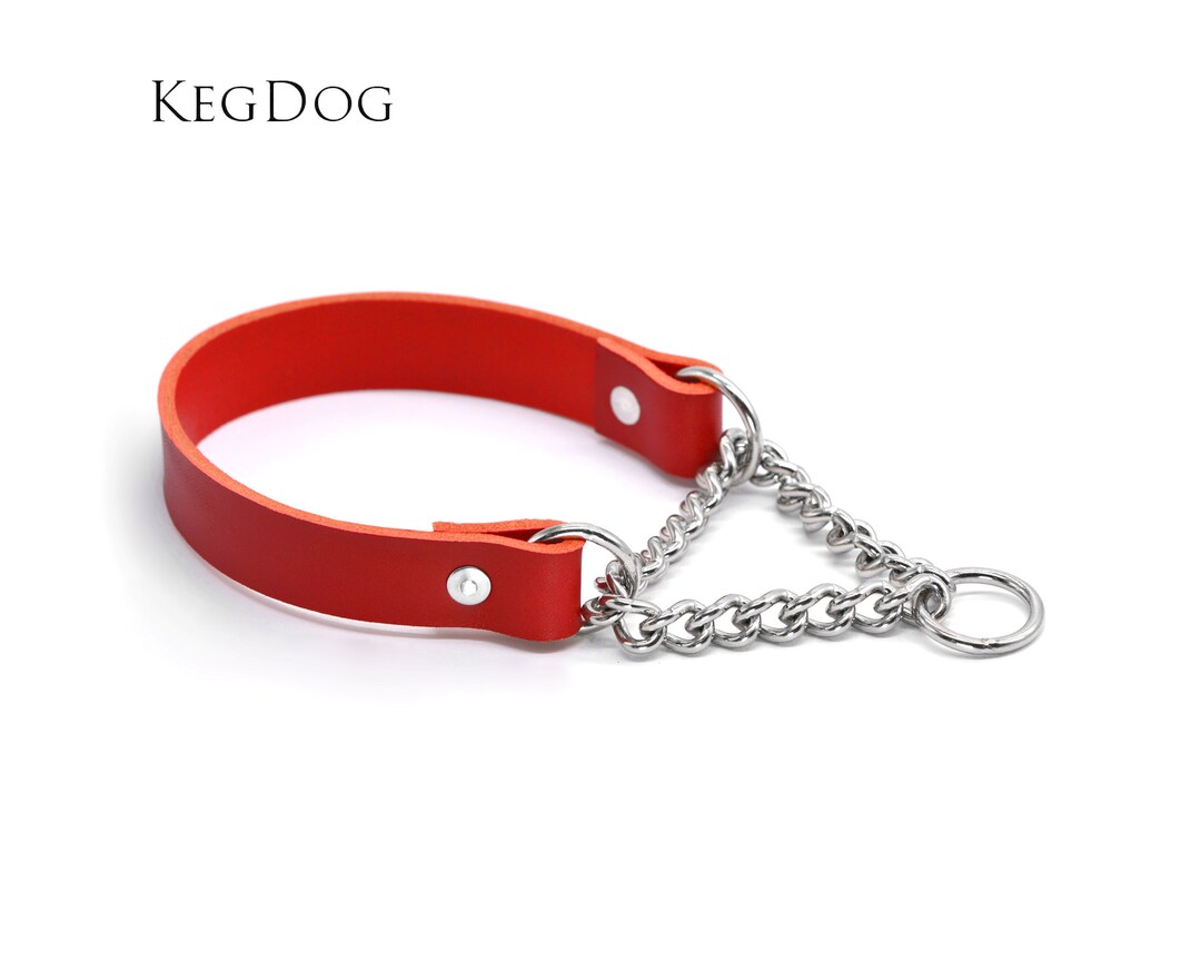 Martingale Hundehalsband Aus Echtem Leder | 2,5 Cm Breit, Verstellbar 17–50,8 Cm, Mit D-Ring
