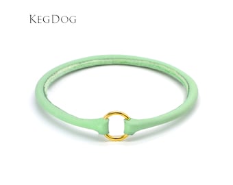 Thin Rolled Mint Leather House Collar - ID Tag Dog Collar