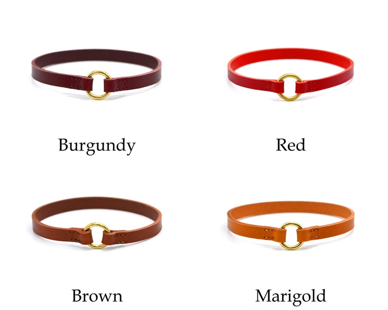 Mint Leather House Collar Thin Dog Collar Tag Collar ID Etsy