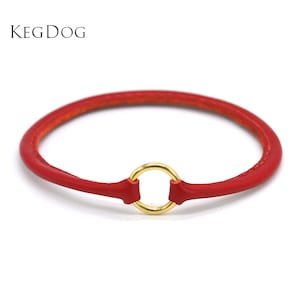 Dünnes Rolle Leder Haus Halsband - Tag Halsband - ID Hundehalsband