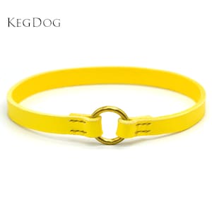 Stitched Yellow Leather House Collar - Thin Dog Collar - Tag Collar - ID Dog Collar