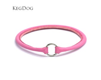 Thin Rolled Leather House Collar - Tag Collar - ID Dog Collar