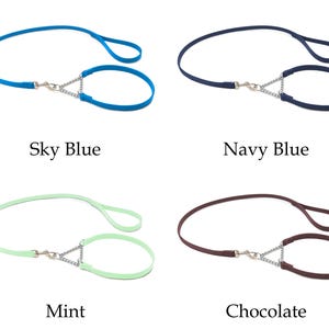 Set Italiaanse leren martingaalhalsband en riem voor showhonden afbeelding 6