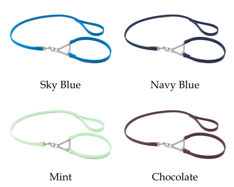 Set Italiaanse leren martingaalhalsband en riem voor showhonden afbeelding 6