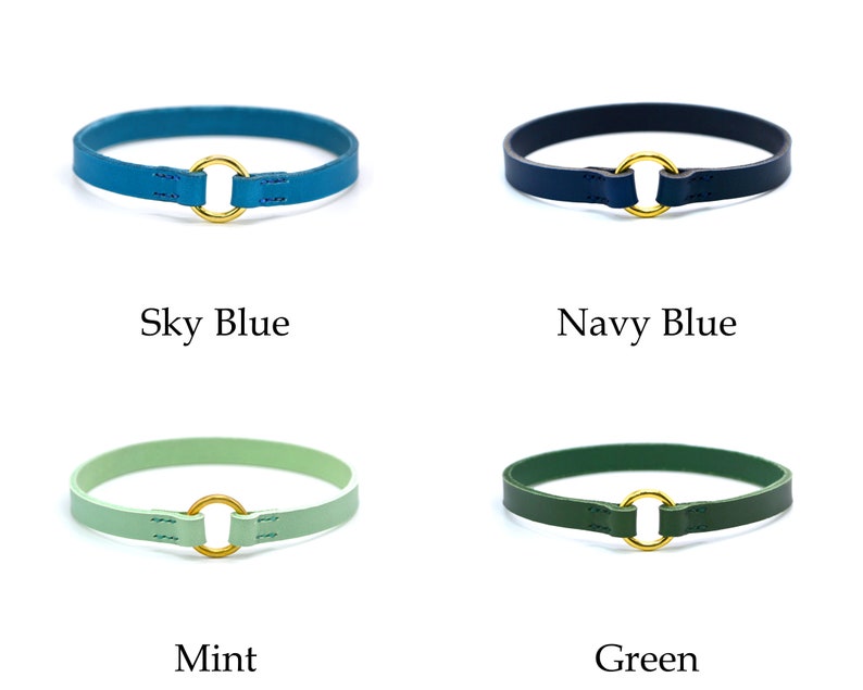 Mint Leather House Collar Thin Dog Collar Tag Collar ID Etsy