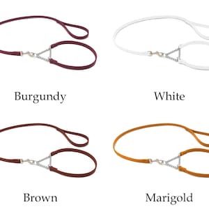 Op de afbeelding: Vier hondenriemen in verschillende kleuren: bordeaux, wit, bruin en goudsbloem. Elke riem heeft een lus handvat en een kleinere lus met een metalen ketting en sluiting. De kleuren staan onder elke riem.